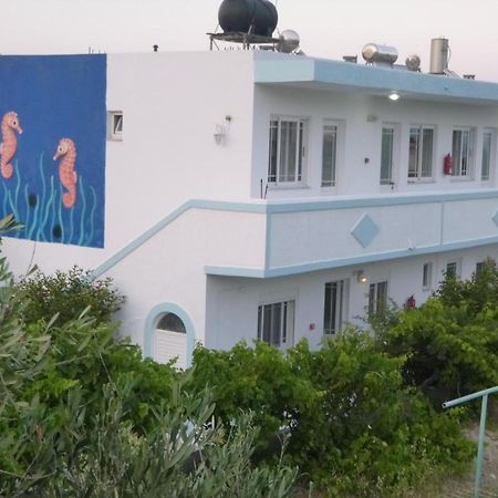 Ipokampos Appartement Kéfalos Buitenkant foto